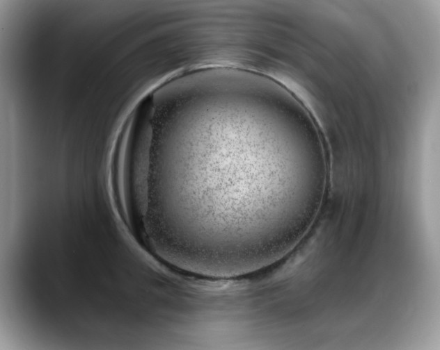 X0000088900949200706081303