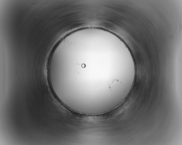 X0000088900950200706081303