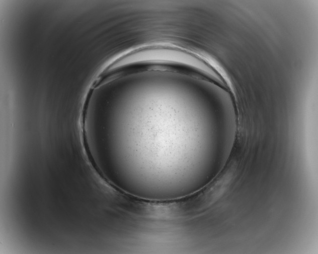 X0000088900951200706081303