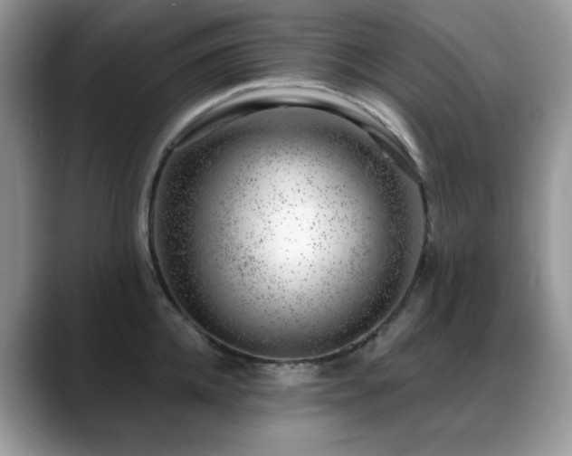 X0000088900952200706081303