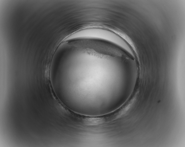 X0000088900953200706081303