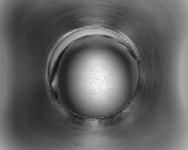 X0000088900956200706081303