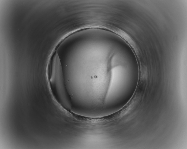 X0000088900958200706081303