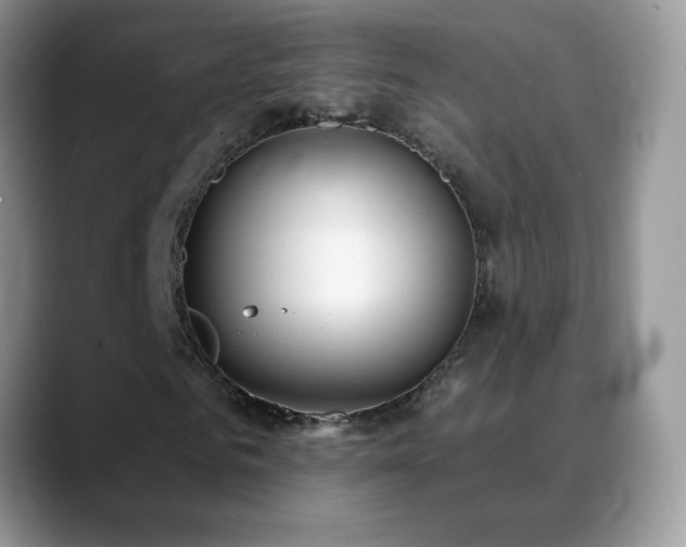 X0000088900961200706081303