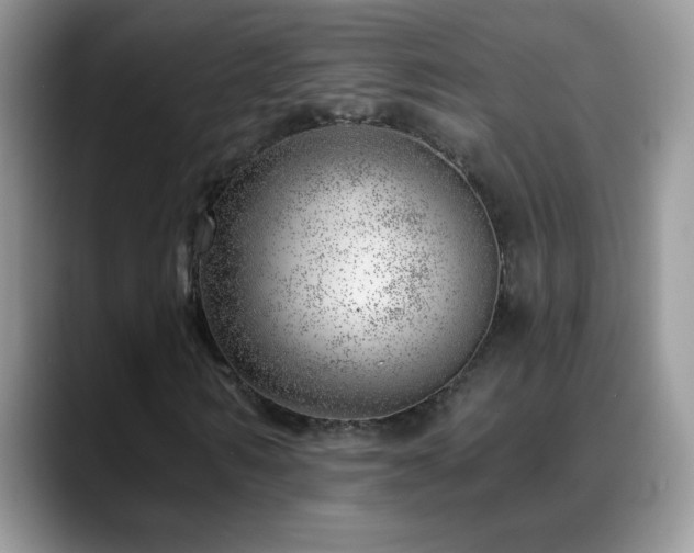 X0000088900962200706081303