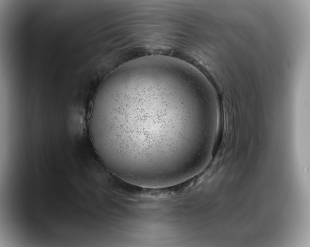 X0000088900963200706081303