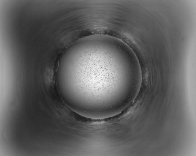 X0000088900964200706081303