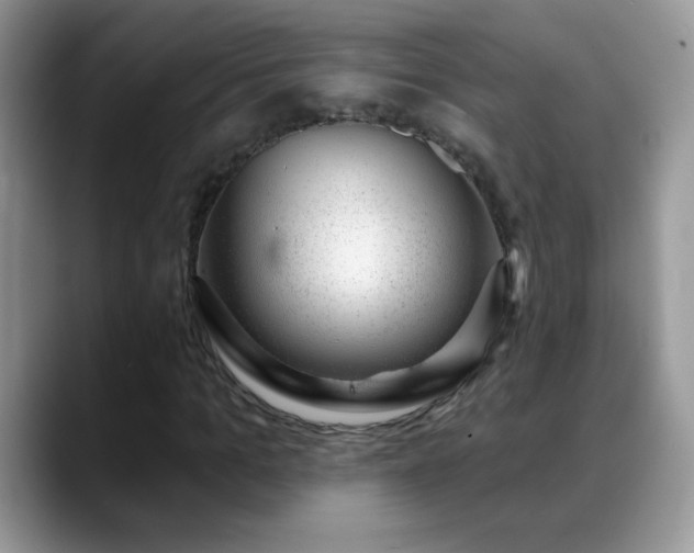 X0000088900965200706081303
