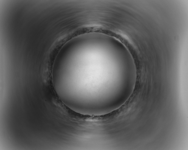 X0000088900967200706081303