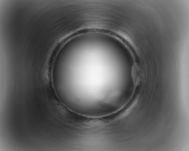 X0000088900974200706081303
