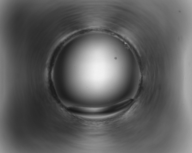 X0000088900975200706081303