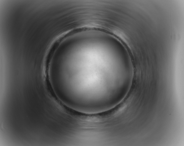 X0000088900979200706081303