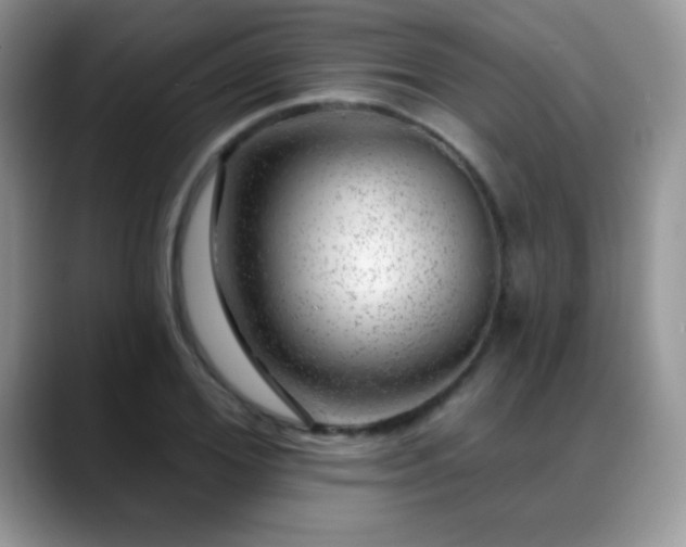 X0000088900980200706081303