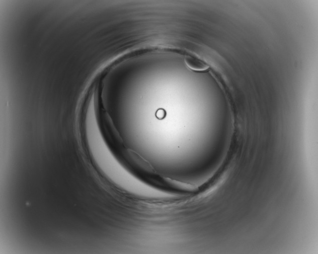 X0000088900981200706081303