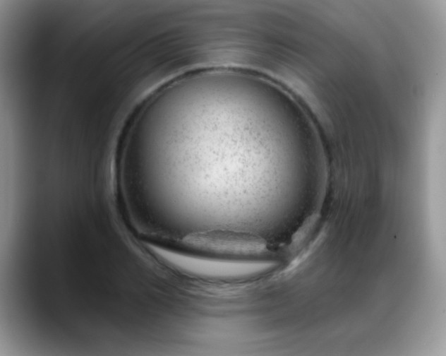 X0000088900982200706081303