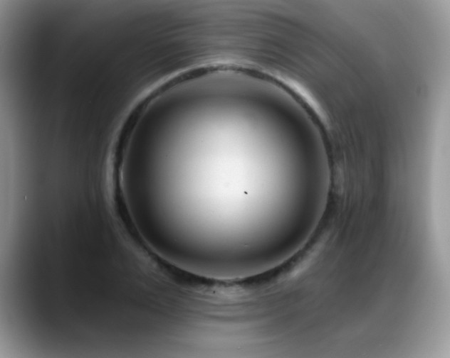 X0000088900983200706081303