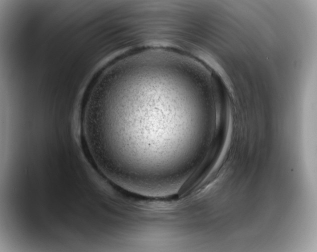 X0000088900984200706081303