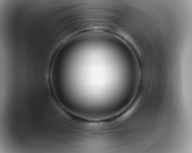 X0000088900985200706081303