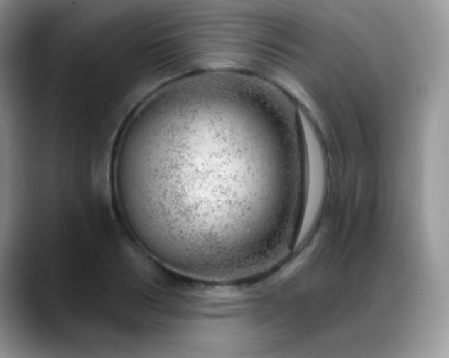 X0000088900986200706081303