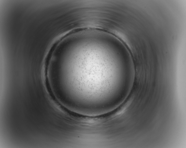 X0000088900987200706081303