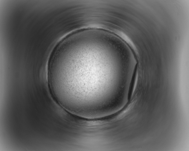 X0000088900988200706081303