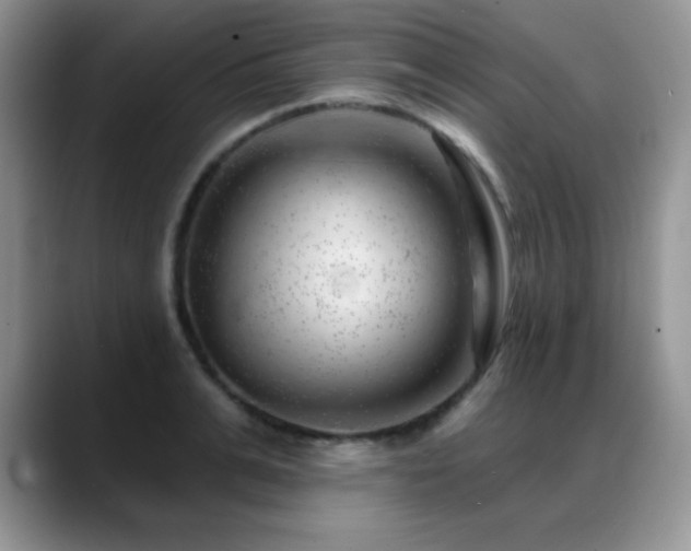 X0000088900991200706081303