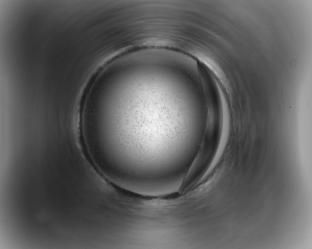 X0000088900992200706081302