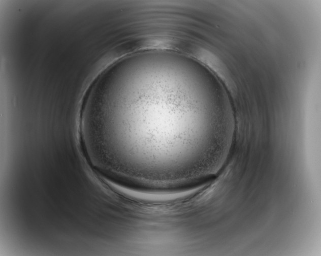 X0000088900994200706081302