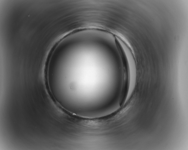 X0000088900995200706081302
