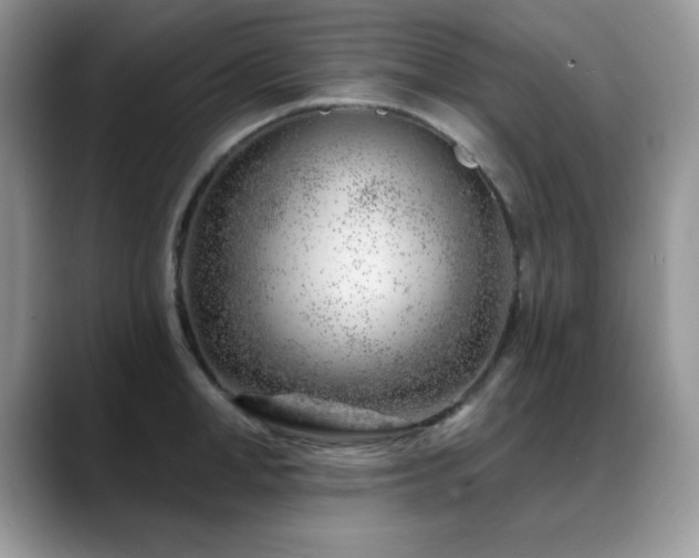 X0000088900998200706081302