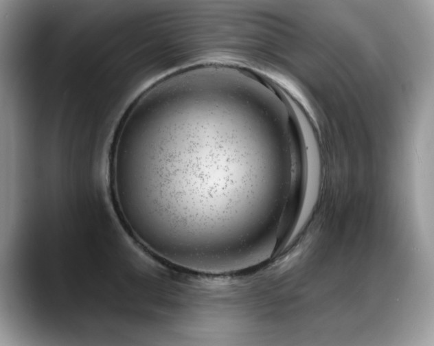 X0000088900999200706081302