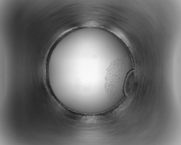 X0000088901000200706081302