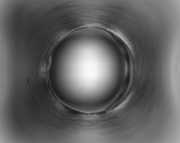 X0000088901001200706081302