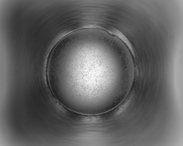 X0000088901002200706081302