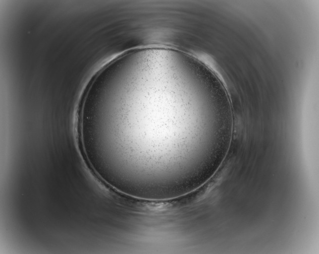 X0000088901003200706081302