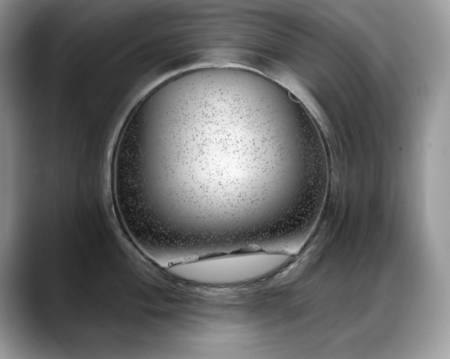 X0000088901004200706081302