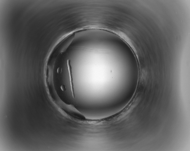 X0000088901005200706081302