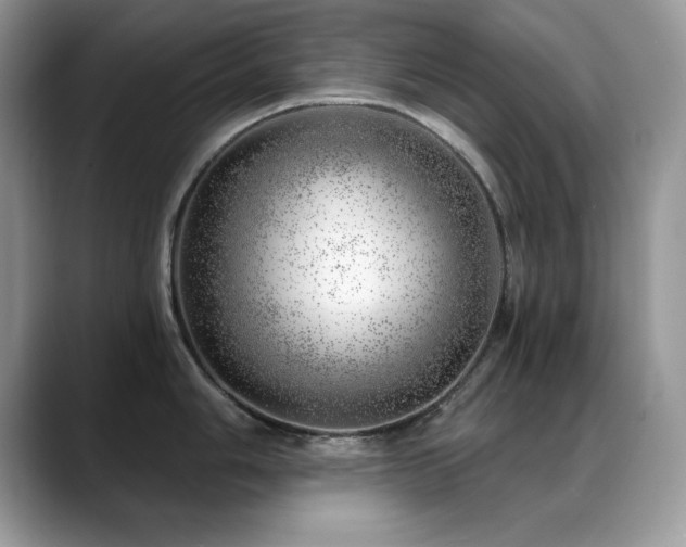 X0000088901006200706081302
