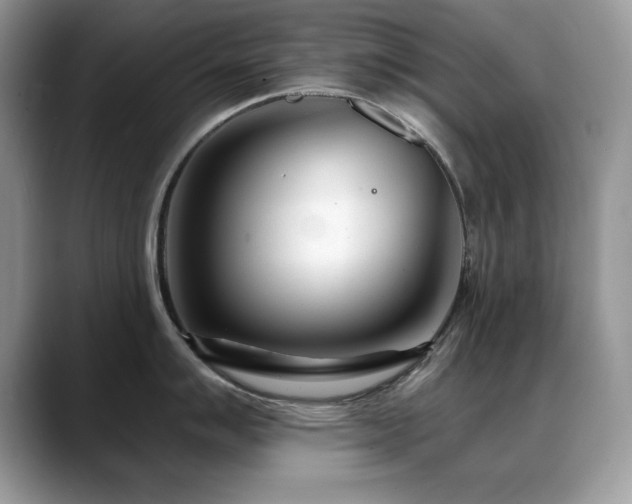 X0000088901007200706081302