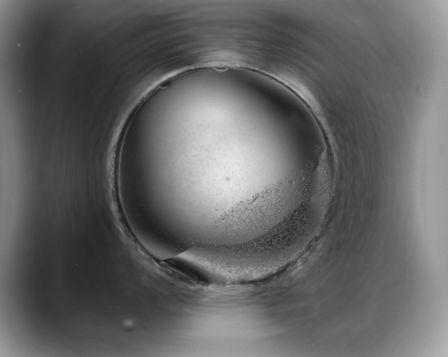 X0000088901008200706081302