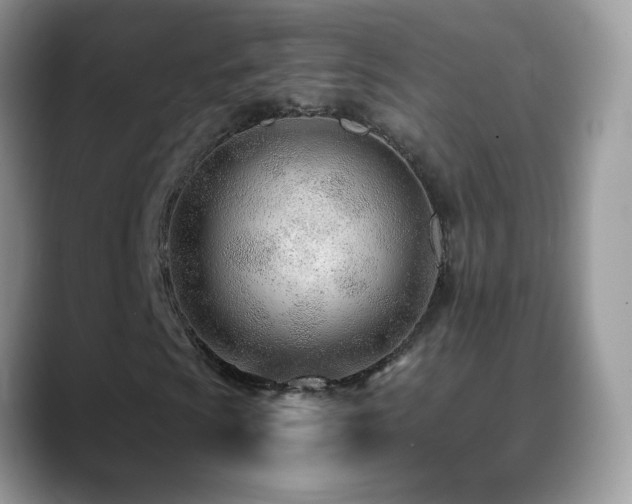 X0000088901009200706081302