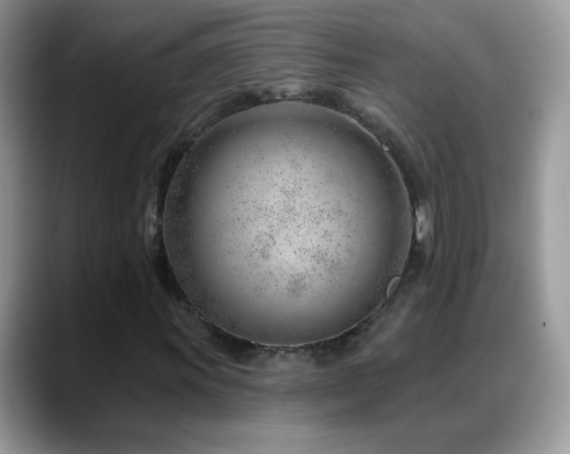 X0000088901011200706081302