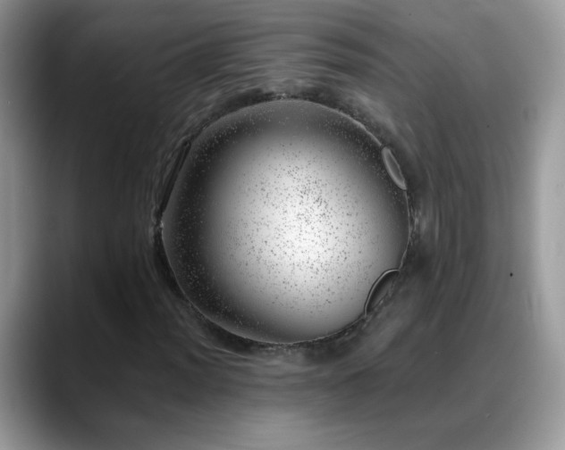 X0000088901012200706081302