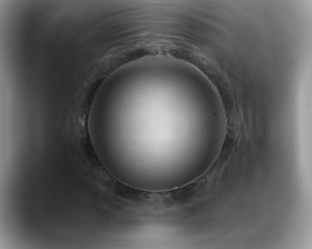 X0000088901013200706081302