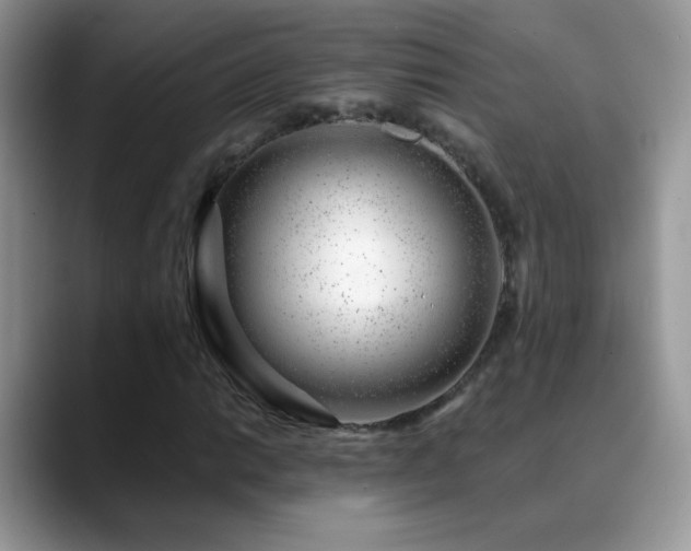 X0000088901014200706081302