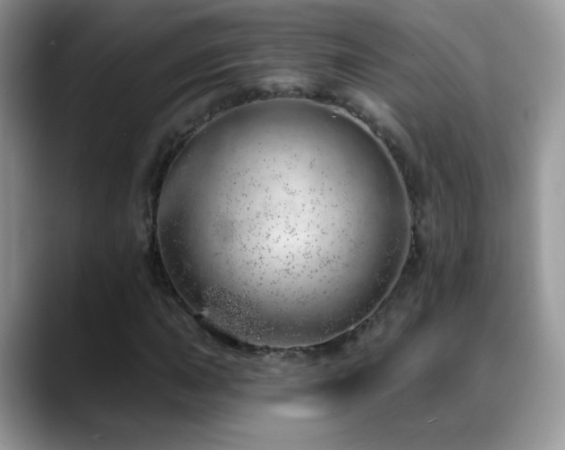 X0000088901015200706081302