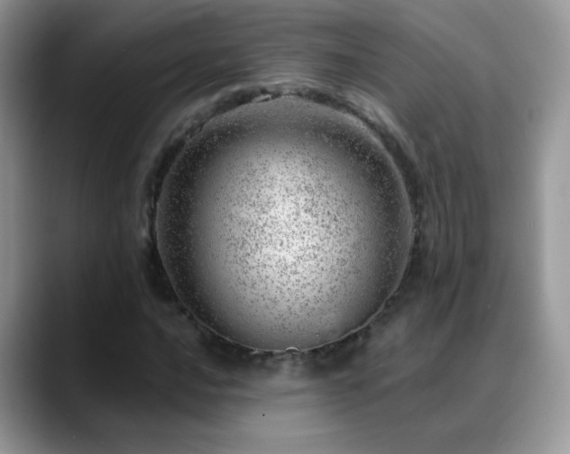X0000088901016200706081302