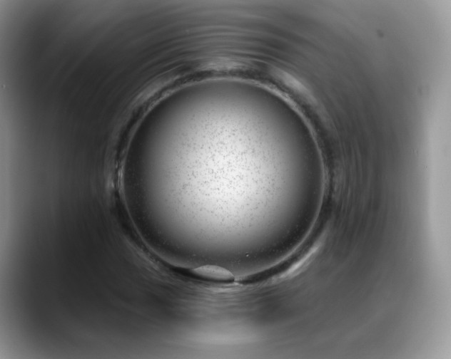 X0000088901017200706081302