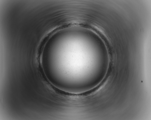 X0000088901018200706081302