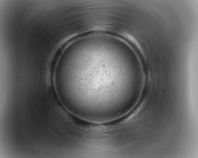 X0000088901019200706081302